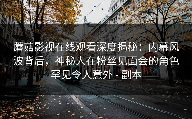蘑菇影视在线观看深度揭秘：内幕风波背后，神秘人在粉丝见面会的角色罕见令人意外 - 副本