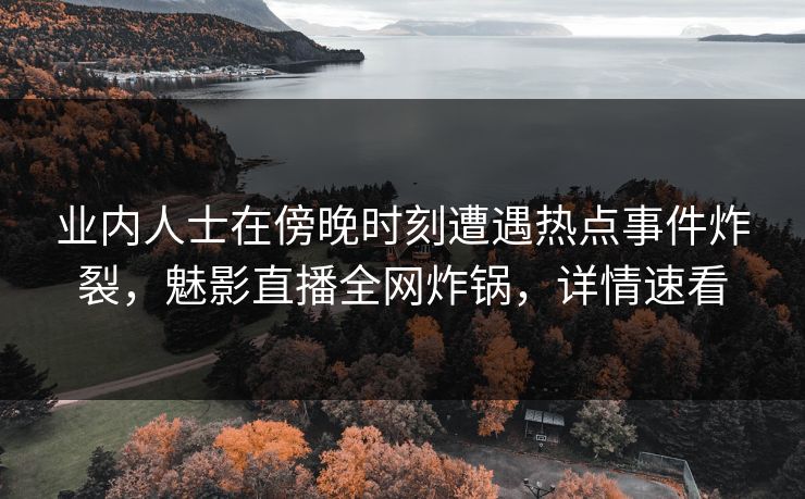 业内人士在傍晚时刻遭遇热点事件炸裂，魅影直播全网炸锅，详情速看