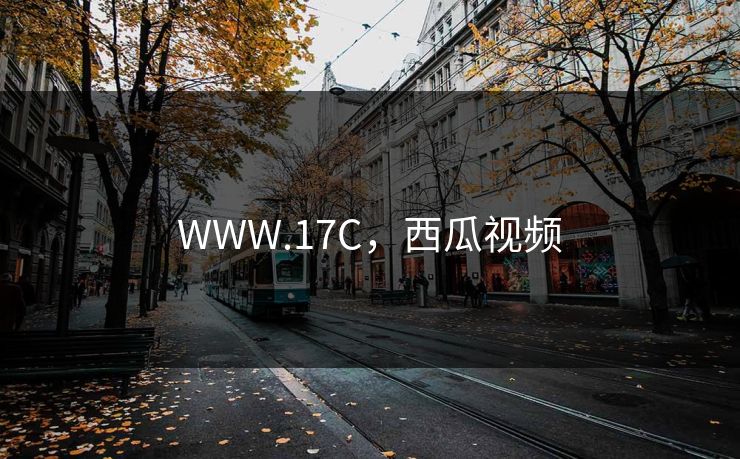 WWW.17C,西瓜视频
