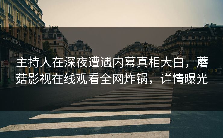 主持人在深夜遭遇内幕真相大白，蘑菇影视在线观看全网炸锅，详情曝光